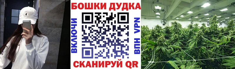 Где продают наркотики Ульяновск А ПВП Гашиш КОКАИН
