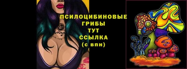 СК Кулебаки