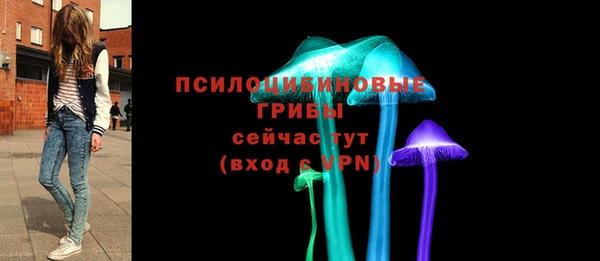 СК Кулебаки