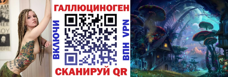 где продают наркотики  Ульяновск  Галлюциногенные грибы Psilocybine cubensis 