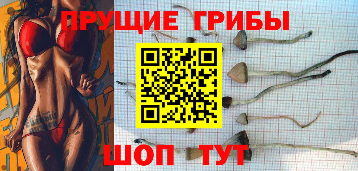 Псилоцибиновые грибы ЛСД  Вход с VPN  Ульяновск  Псилоцибиновые грибы прущие грибы 